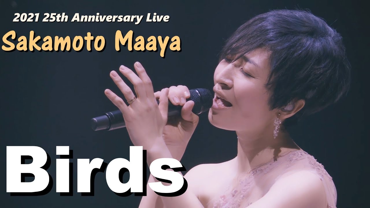 사카모토 마아야(坂本真綾) - Birds 2021 가수 데뷔 25주년 Live / 1st 미니앨범 Easy Listening 수록곡