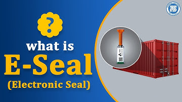 What is E-Seal in Export..?? | What is Factory Stuffing ? | by Paresh Solanki