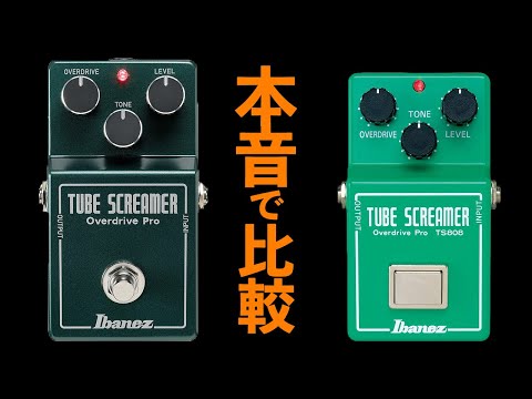 Ibanez TS808HWV2 vs TS808 / 忖度なしの本音で比較 / 高級