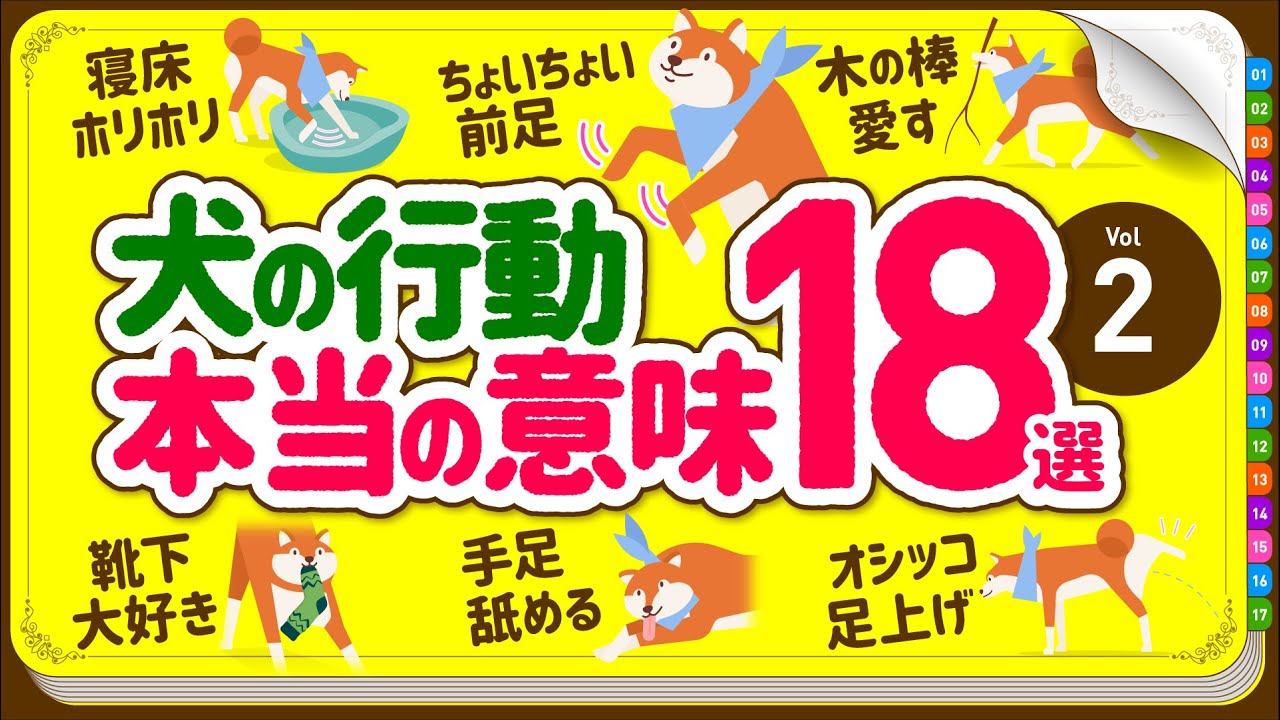 犬の行動 しぐさの本当の意味 18選 Part 2 Youtube