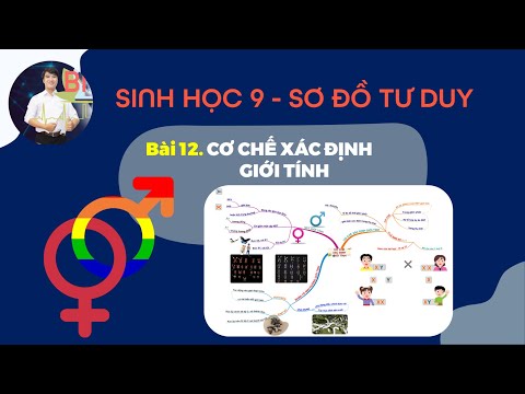 Video SINH HỌC 9 - BÀI 12 - CƠ CHẾ XÁC ĐỊNH GIỚI TÍNH - SƠ... - youtube