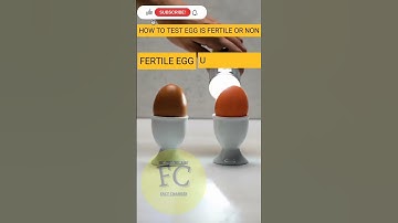 how to test egg is fertile or infertile #shorts