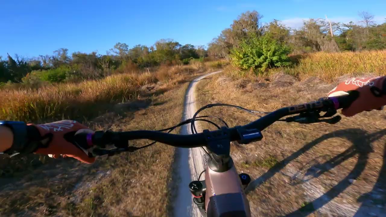 Roller coaster Alafia mtb