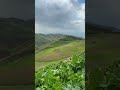 ربيع ذاع صيته في وطنا