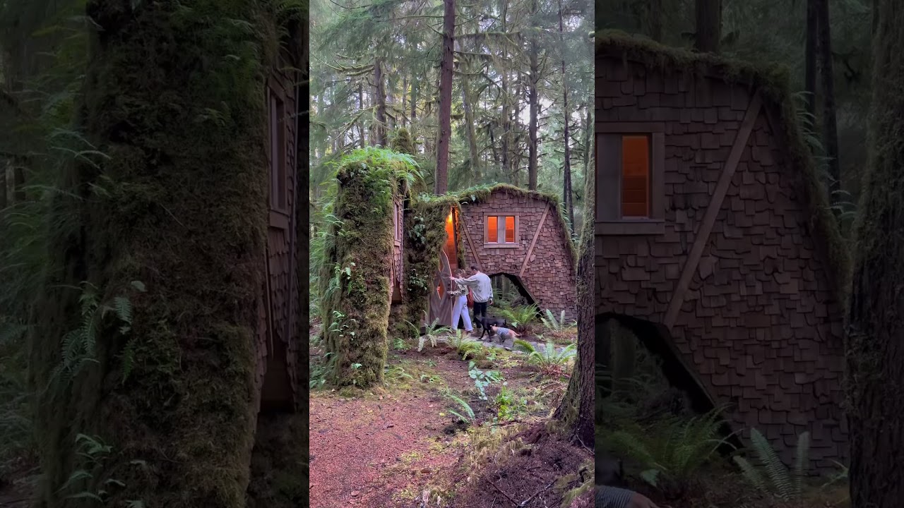 ties the room together