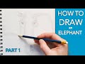 How to DRAW an ELEPHANT - Elephant Series Part 1