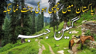 Gabin Jabba | Paradise of Pakistan | Swat Valley | Gabin Jabba Road Conditions | Travel Guide