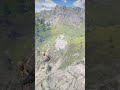 Simulate stunning survival skills #shorts #viralvideo