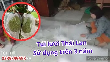 Lưới Túi mít, bưởi , mãng cầu thái, cung cấp toàn quốc.Hàng thái lan xử dụng trên 3 năm