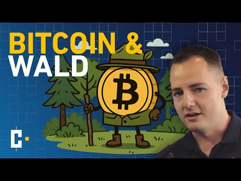 🟨 Bitcoin & Forest | Aleks Bleck from Northern Finance