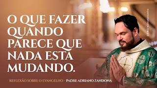 O Que Fazer Quando Parece Que Nada Está Mudando - Padre Adriano Zandoná