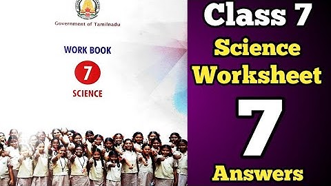 7th Standard Science Bridge Course Worksheet-7 Answers