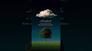 Taweel Al Shawq  Islamic Nasheed  Al Quran Islamic