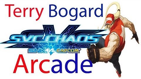 SNK vs. Capcom: SVC Chaos Arcade - Terry Bogard