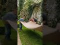 You Won’t Believe This Garden Transformation! Satisfying Backyard Cleanup and Redesign ✨