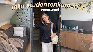 mijn studentenkamer in leiden! :) ROOMTOUR!! by jiska stuij 8,140 views 9 months ago 11 minutes, 3 seconds