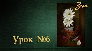 Поиск идеи для фото-натюрморта. (Урок №6) Поиск идеи для фото-натюрморта. (Урок №6)