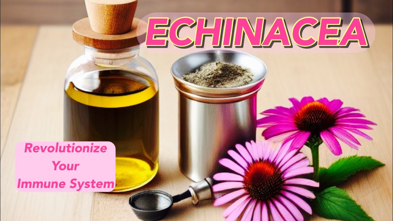 Echinacea for colds evidence-based herbal remedies for cold and flu