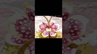 Om namah shivay#omganeshaynamah#omnamahshivaya#nature#puresound#healing#sleepmusic#lyrics#varija