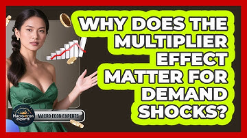 Why Does The Multiplier Effect Matter For Demand Shocks? - Macroecon Experts
