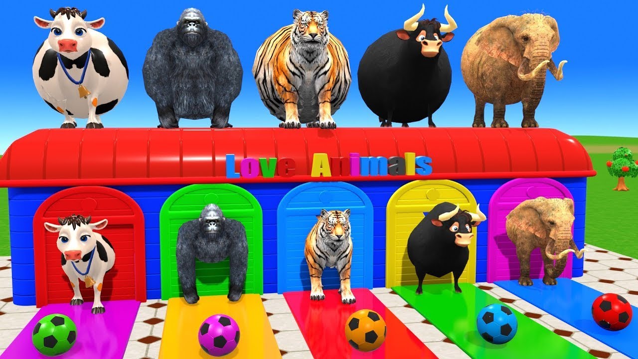 Animal On Pool Game with Long Slide Cow Peacock Tiger Gorila 3d Animal Game Funny 3d Animals