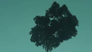 Download Lagu 40 Lagu Terbaik Tipe X [ Full Album ] - Lagu Indonesia Terbaik \u0026 Terpopuler _Full-HD MP3