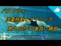 バタフライ 体重移動とタイミング 覚えるのに1番良い練習！