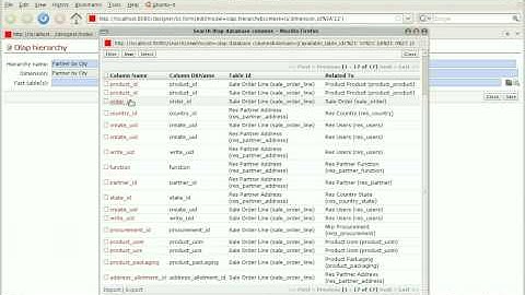 Business Intelligence with OpenERP - Designer
