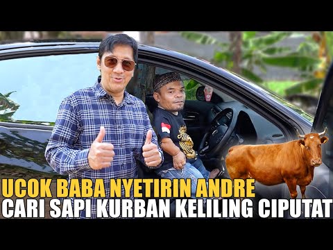 UCOK BABA SETIRIN ANDRE PERTAMA KALI.. KELILING CIPUTAT NYARI SAPI KURBAN