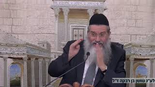 ואתחנן- הקב"ה אוהב אותך ומגיע עד אליך לנחמה  הרב שמעון טמסטית כז' בתמוז תשפ"ו