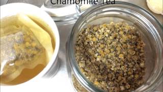 Top 10 Most Healthy Types Of Tea Whats Your Favorite Types Of Tea