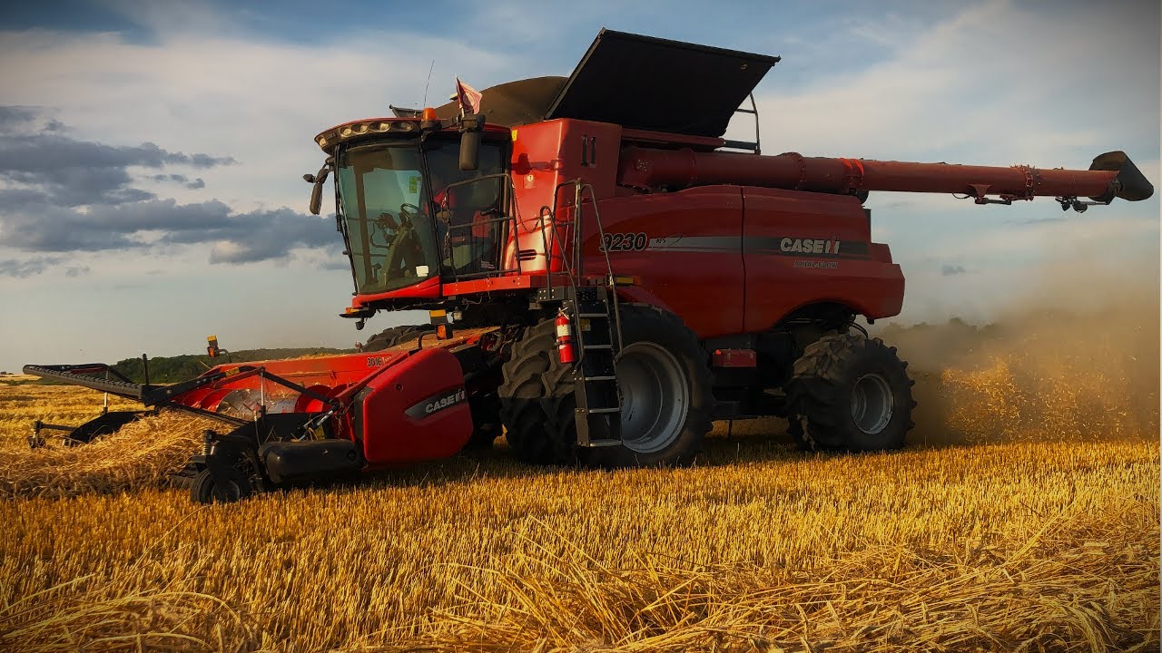 Fall rye harvest  w/ Case IH 9230 combines and grain cart