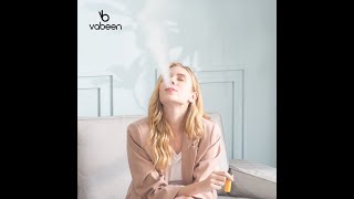 Vabeen Plum 5000puffs disposable vape 11flavors 12ml capacity
