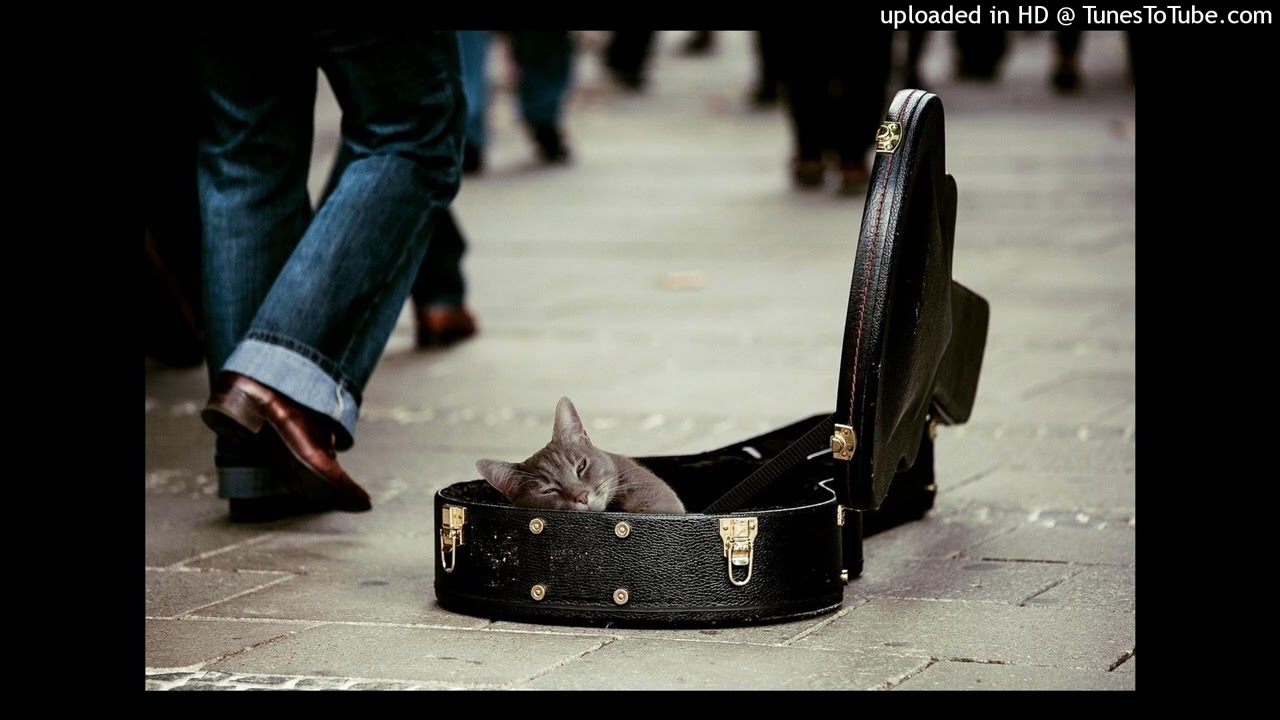 Wenn der Morgen kommt - Das letzte Lied der Straße