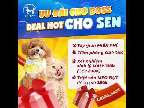 Anipet - Spa Thú Cưng