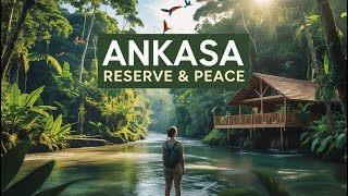 Download Lagu A Memorable Visit to Ankasa Reserve Lodge Nature, Peace, and Discovery 🌱 MP3