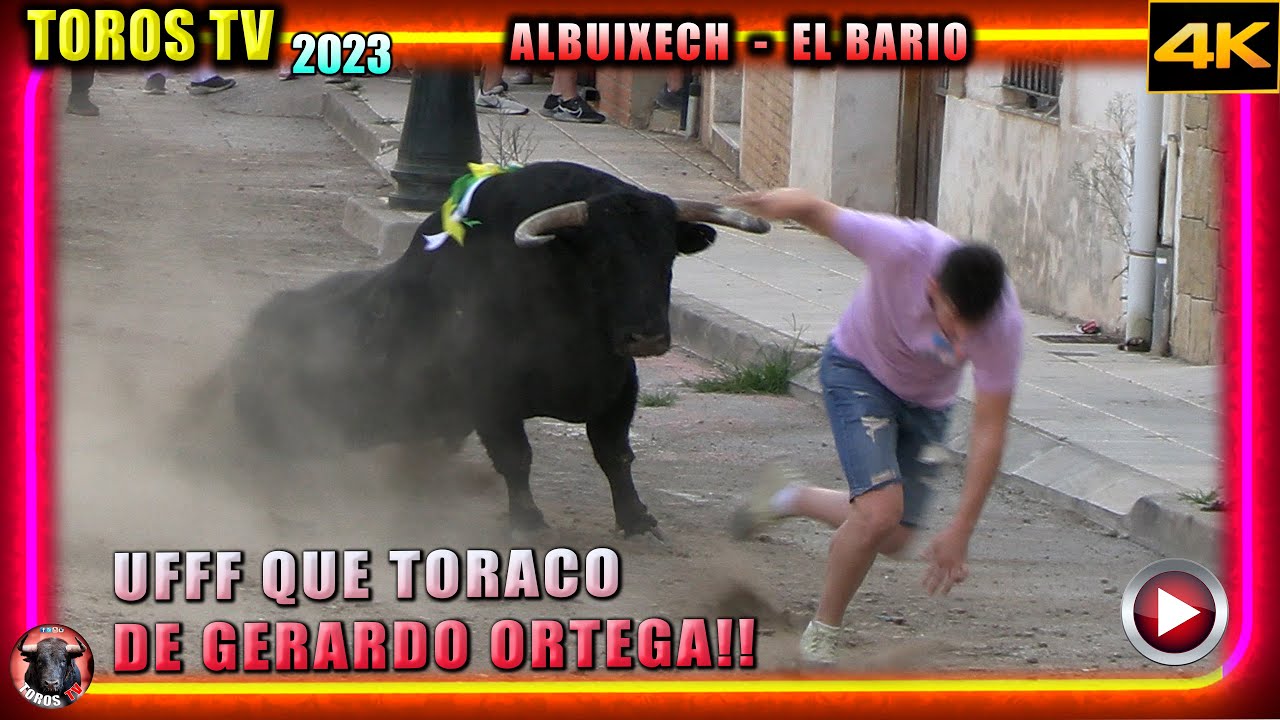 😱😱 2 Toros de Gerardo Ortega Albuixech ❤️✅ 