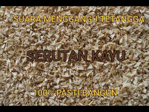 SUARA SERUTAN KAYU | SUARA MENGANGGU TETANGGA PAGI HARI DI HARI LIBUR| SOUND WOOD SHAVINGS