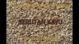 SUARA SERUTAN KAYU | SUARA MENGANGGU TETANGGA PAGI HARI DI HARI LIBUR| SOUND WOOD SHAVINGS