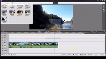 Export A Image - Adobe Premiere Elements