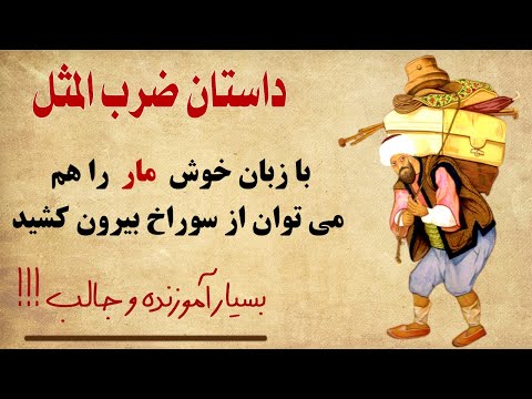 تصویری: ضرب المثل معکوس از کجا می آید؟