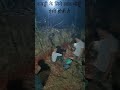 लाल मीठ्ठी की गेहराई | Ravi Tekam | Gav ki kabaddi | adivasi culture | Indian culture |