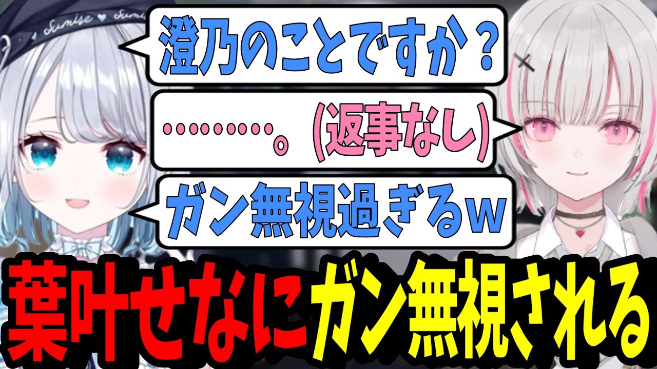 【ストグラ】葉叶せなと初めて会いガン無視される澄乃ミレイ【花芽すみれ/空澄セナ/ぶいすぽ/切り抜き】