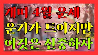 2024년 4월 개띠운세 운기가 트이지만 이것은 신중해야 합니다.