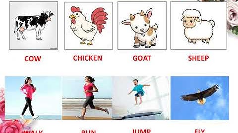 Tiếng Anh lớp 2  Theme 7  lesson 2   ilearn smart start