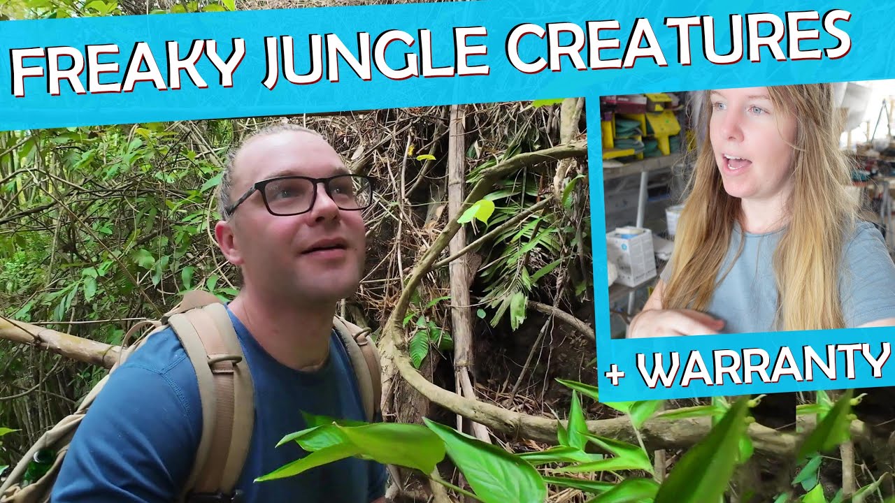 Got Lost in the Trinidad Jungle