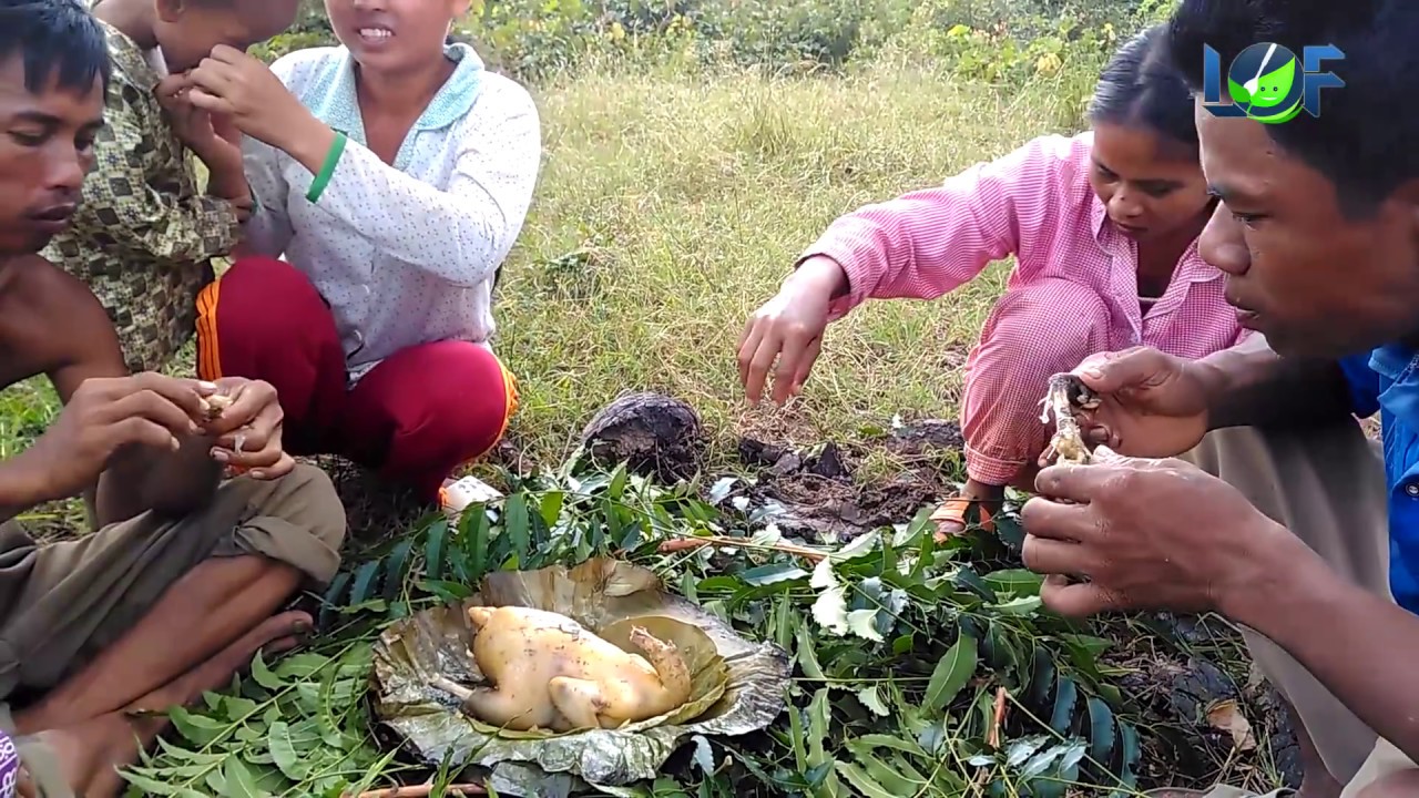 river of life natural foods Awesome! Very Strange Cooking Food using CLAY | Beggar's Chicken | Life of Natural Foods