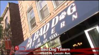 24/7 Discovers Dog-Friendly Service