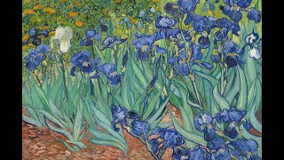 THE 20 MOST FAMOUS PAINTINGS of Vincent VAN GOGH
