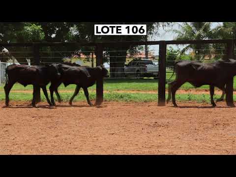 LOTE 106